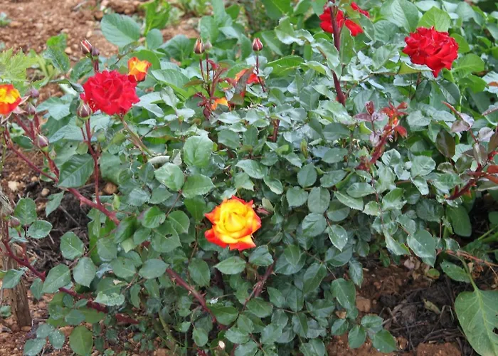 By The Sea Posedarje, Novigrad - 6240 *